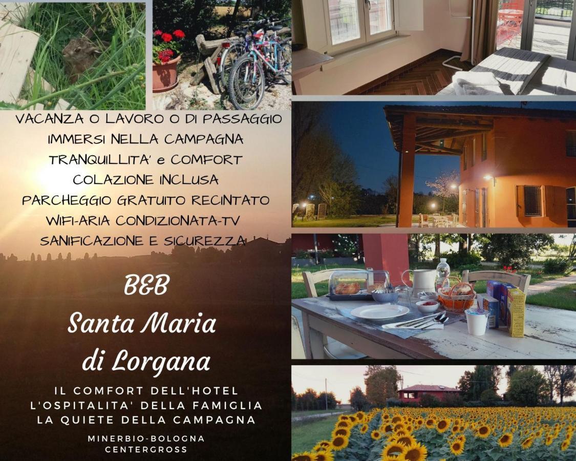 Santa Maria Di Lorgana Bed and Breakfast Minerbio Buitenkant foto