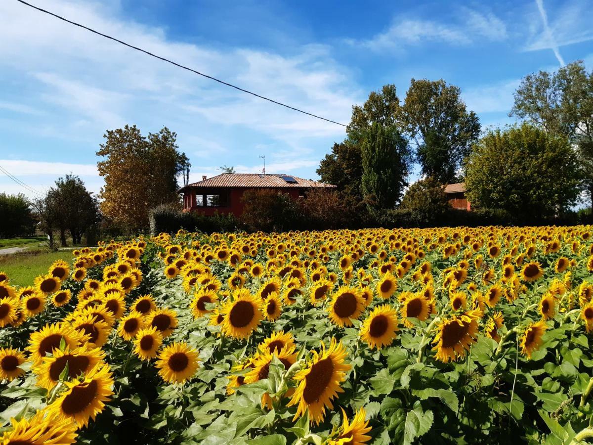 Santa Maria Di Lorgana Bed and Breakfast Minerbio Buitenkant foto