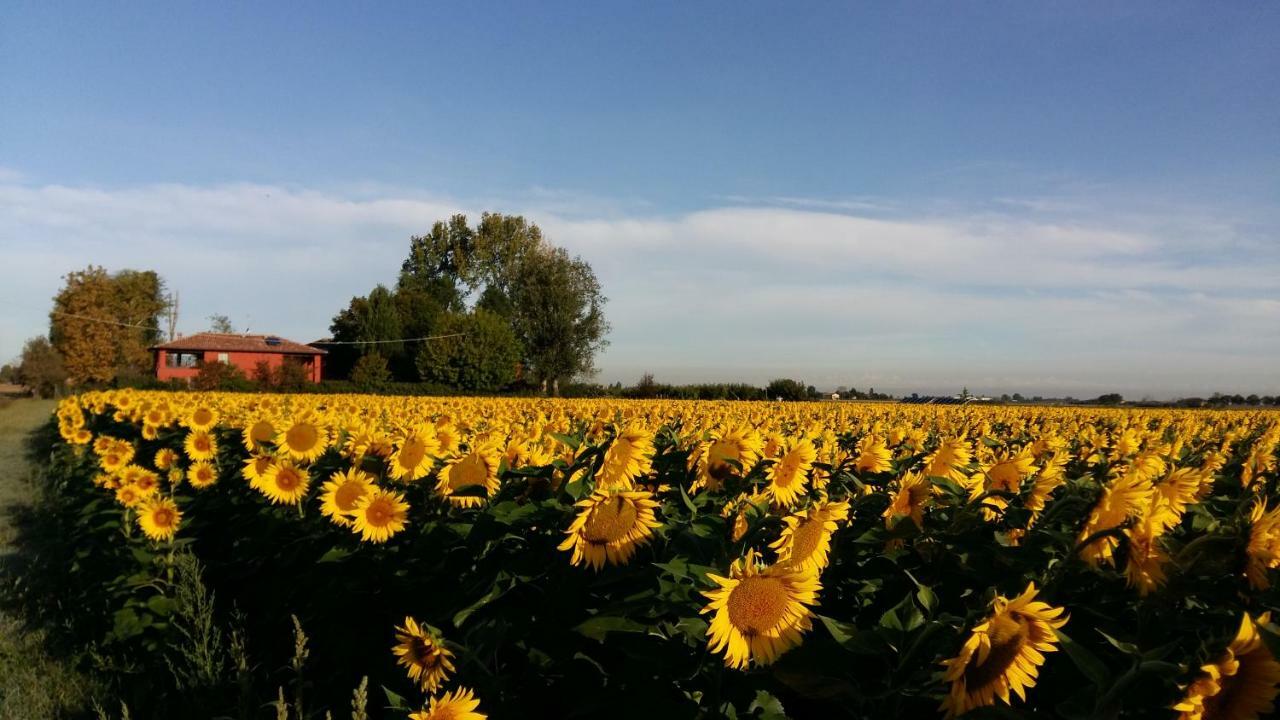 Santa Maria Di Lorgana Bed and Breakfast Minerbio Buitenkant foto