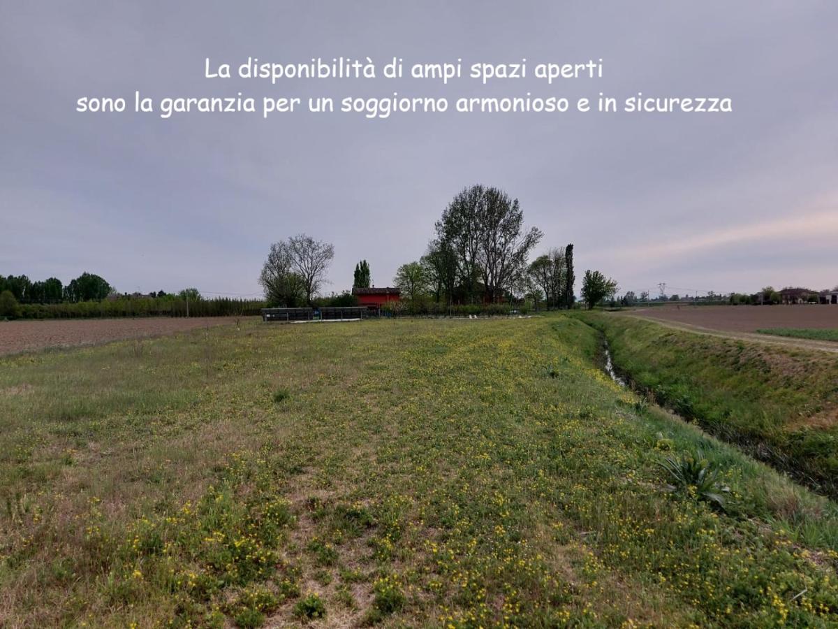 Santa Maria Di Lorgana Bed and Breakfast Minerbio Buitenkant foto