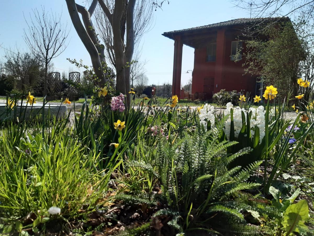 Santa Maria Di Lorgana Bed and Breakfast Minerbio Buitenkant foto